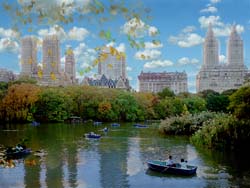 Central park Rowers